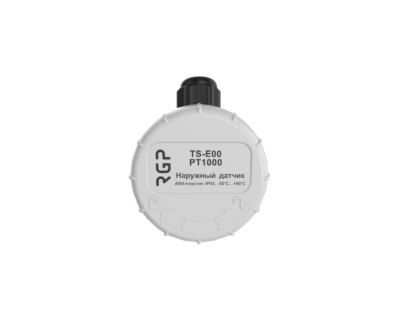Датчик температуры наружного воздуха RGP TS-E00 NTC10k (3950)
